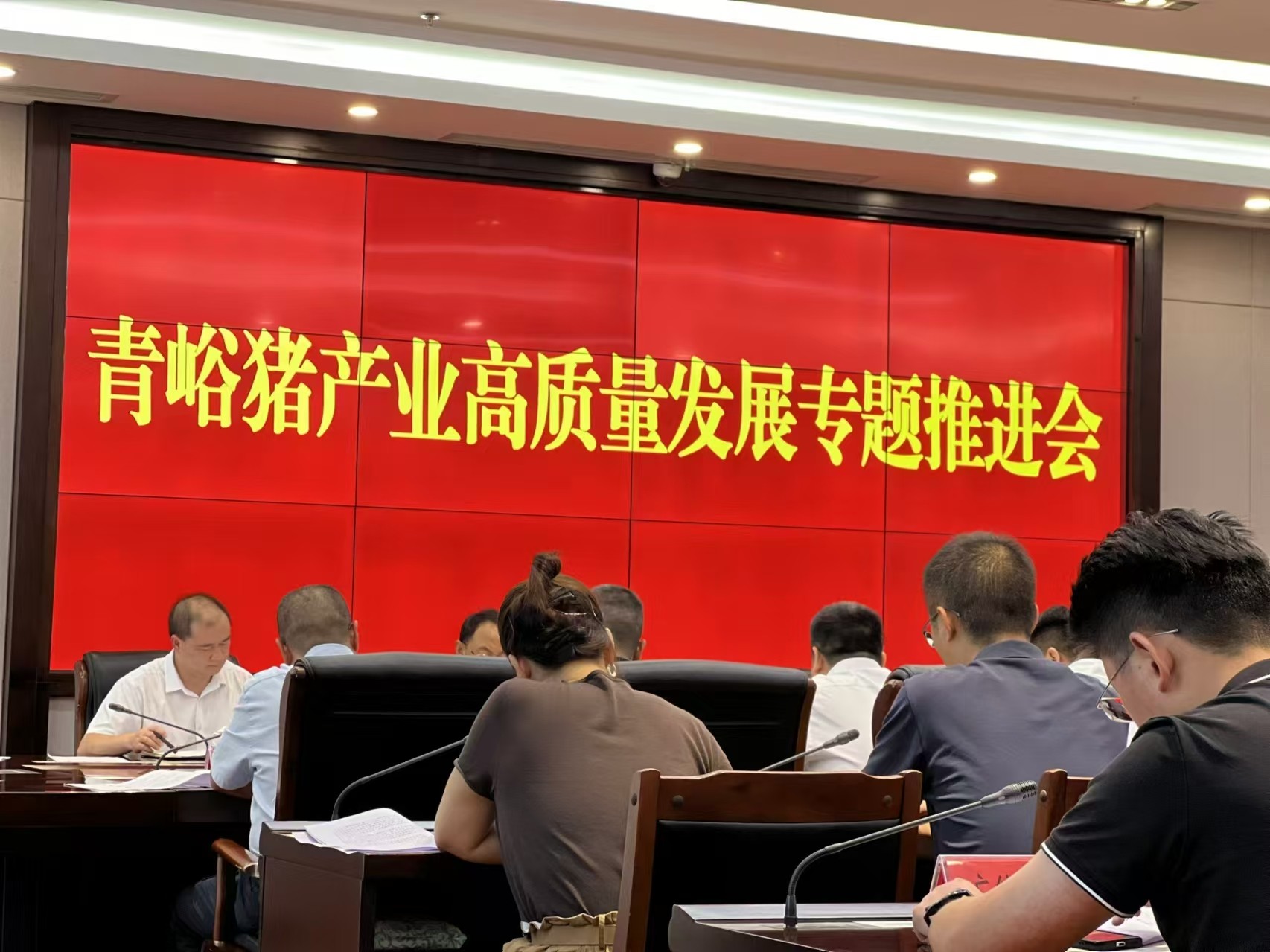 關(guān)于推動(dòng)巴山牧業(yè)青峪豬產(chǎn)業(yè)高質(zhì)量發(fā)展的專題推進(jìn)會(huì)