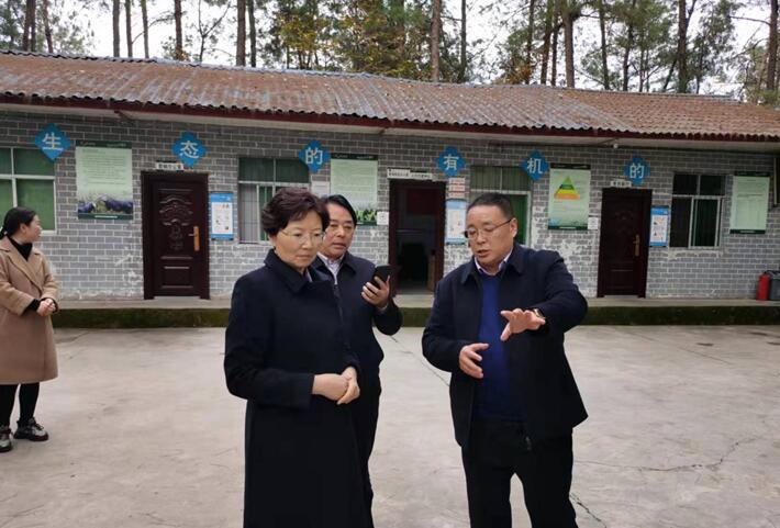 巴中市委常委，市委統(tǒng)戰(zhàn)部部長、市總工會主席溫奇志、通江縣縣委書記孫輝一行來公司調研