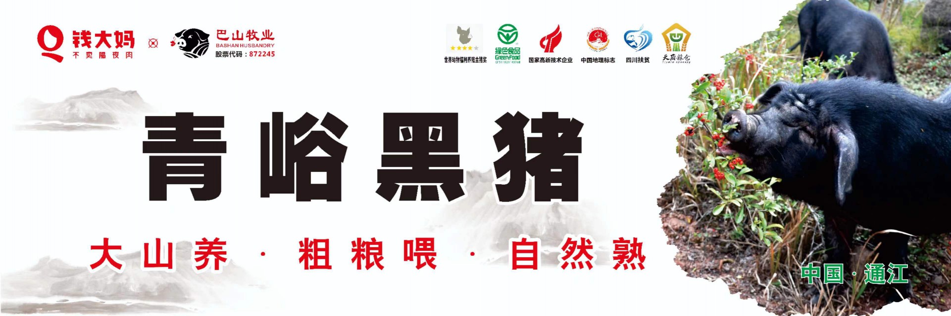 8月19日，青峪黑豬肉 正式在“錢(qián)大媽”重慶市場(chǎng)開(kāi)賣(mài)