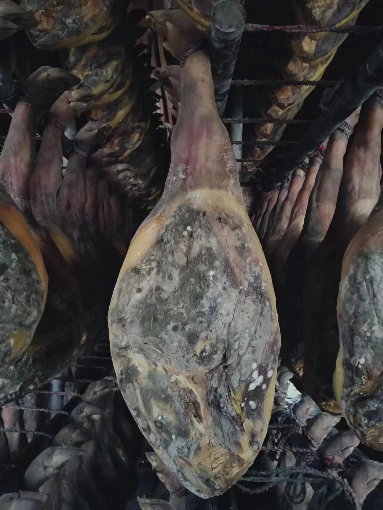 微信圖片_20230708155533